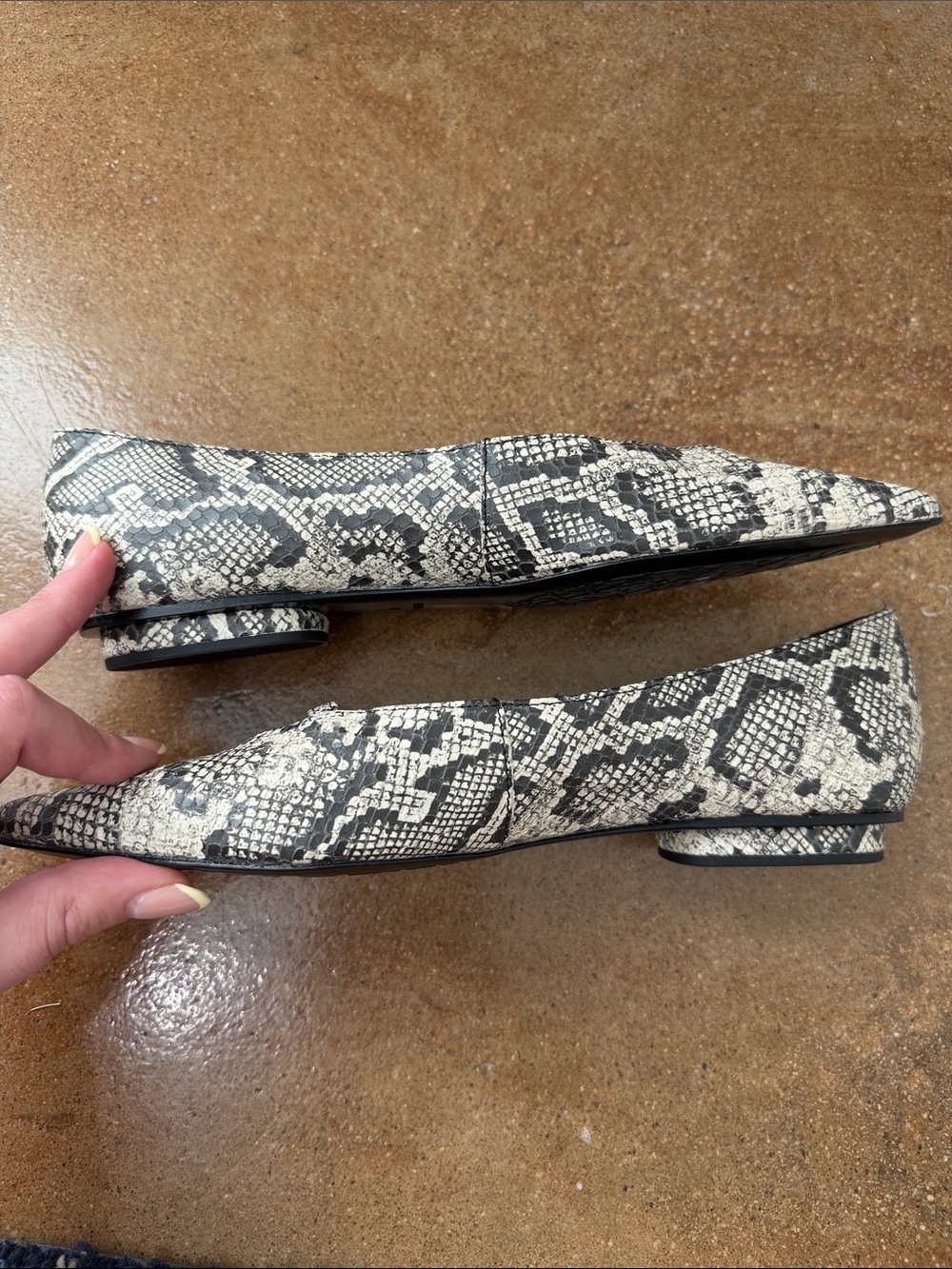 Rebecca Minkoff Buckle Flat Snakeskin Print Pointed Toe Flats Leather 6M - Picture 4 of 8